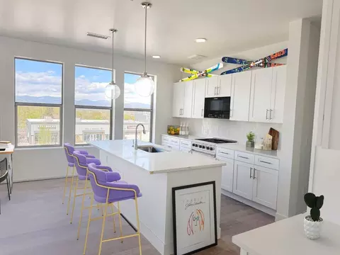 1209 N Perry St, Denver, CO 80204