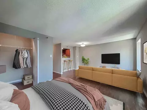 441 Erie St, Chicago, IL 60611 photo 46