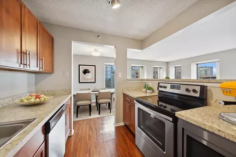 441 Erie St, Chicago, IL 60611 photo 39