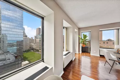 441 Erie St, Chicago, IL 60611 photo 36