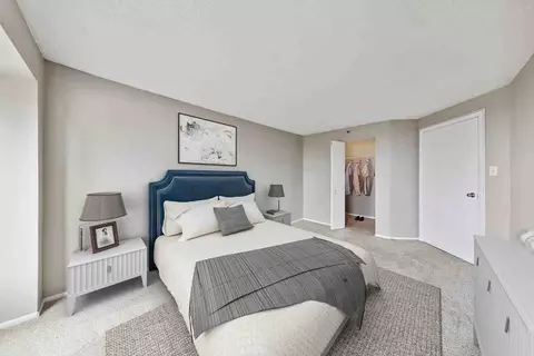 441 Erie St, Chicago, IL 60611 photo 41