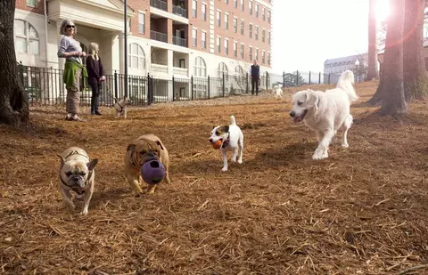77 E Andrews Dr NW, Atlanta, GA 30305 photo 35