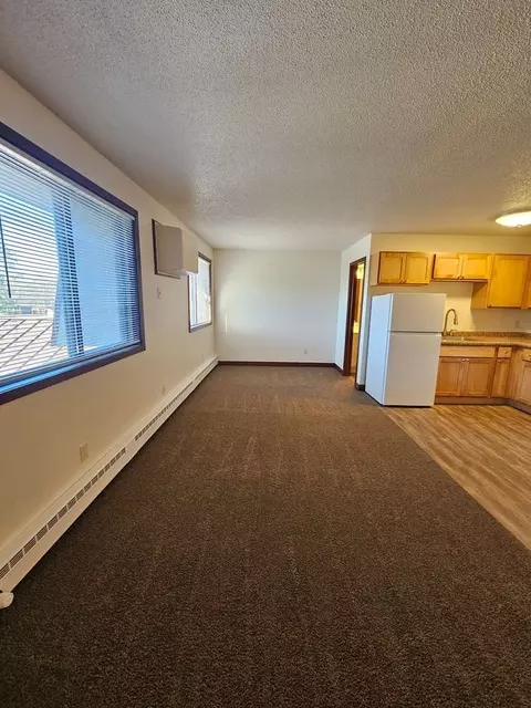 30637 Olson St, Pequot Lakes, MN 56472