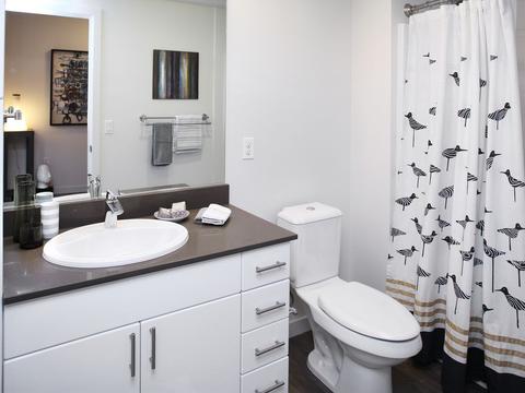 5555 14th Ave NW, Seattle, WA 98107 photo 11