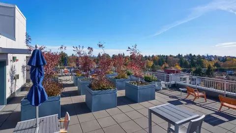 1020 NE 63rd St, Seattle, WA 98115 photo 5