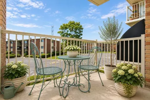 57 Glen Ridge Rd, Ferndale, MD 21061 photo 10
