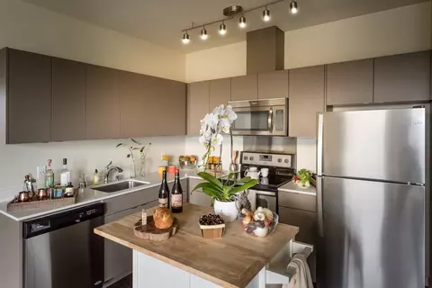 1023 E Alder St, Seattle, WA 98122 photo 10