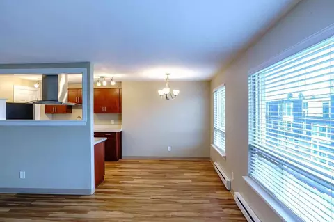 43 Etruria St, Seattle, WA 98109 photo 7