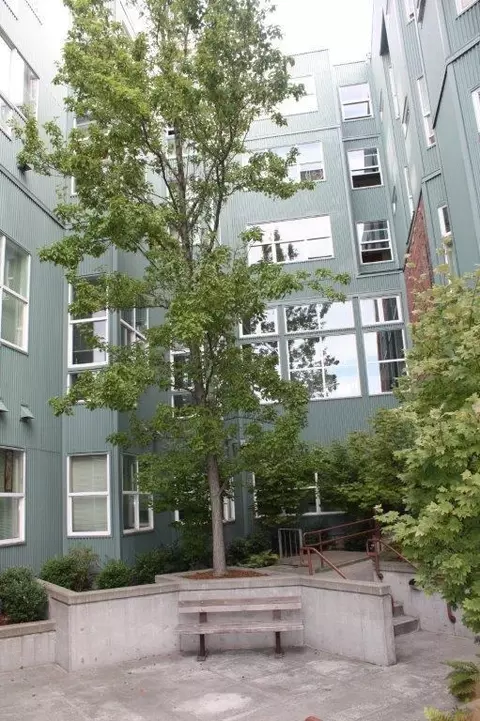 2305 1st Ave, Seattle, WA 98121 photo 9