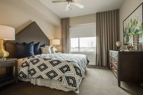 214 Barton Springs Rd, Austin, TX 78704 photo 37