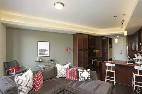 214 Barton Springs Rd, Austin, TX 78704 photo 14