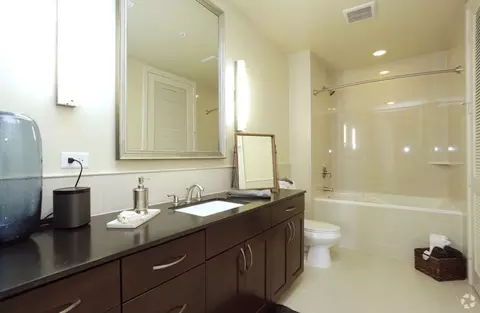 214 Barton Springs Rd, Austin, TX 78704 photo 5