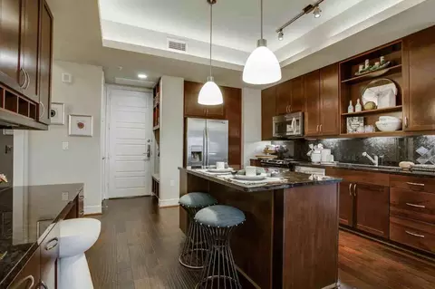 214 Barton Springs Rd, Austin, TX 78704 photo 30