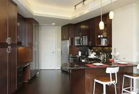 214 Barton Springs Rd, Austin, TX 78704 photo 9