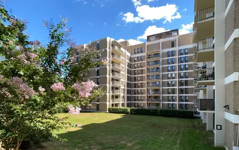 2525 10th St N, Arlington, VA 22201 photo 9