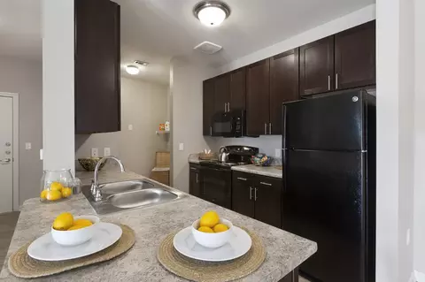 12620 Eastex Freeway Rd, Houston, TX 77039 photo 7