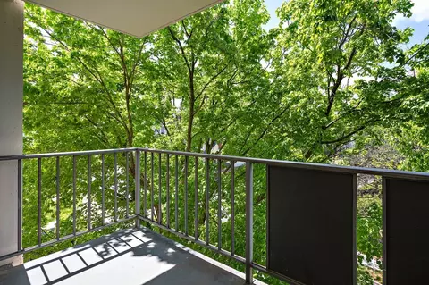 2525 10th St N, Arlington, VA 22201 photo 35