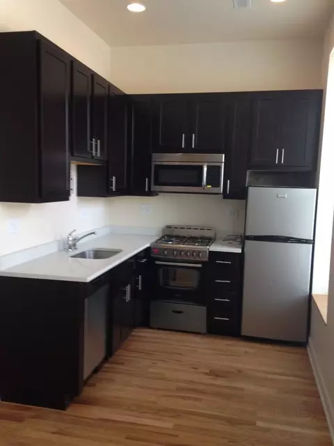 1832 S Racine Ave, Chicago, IL 60608