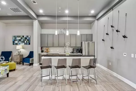 14233 The Lakes Blvd, Pflugerville, TX 78660 photo 32