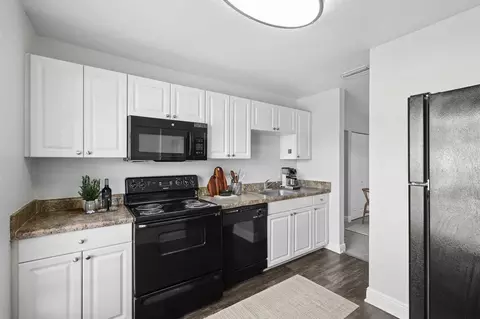 8402 N Waterford Ave, Tampa, FL 33604 photo 13