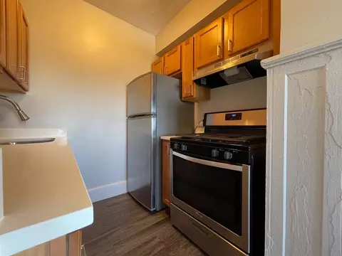 1033 W Loyola Ave, Chicago, IL 60626 photo 9
