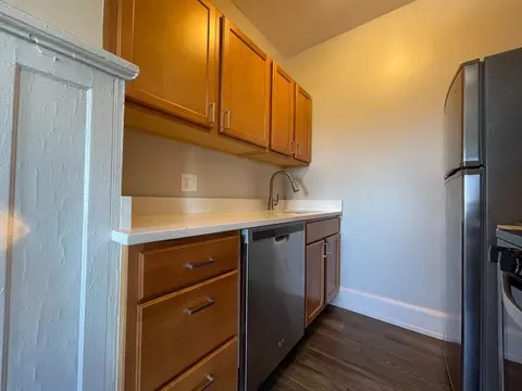 1033 W Loyola Ave, Chicago, IL 60626 photo 8