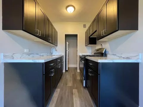 1033 W Loyola Ave, Chicago, IL 60626 photo 19