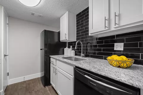 3900 Investor Dr, Dallas, TX 75237 photo 3