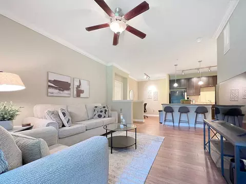 Bearberry Cir, Lutz, FL 33559