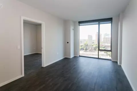 5252 S Cornell Ave, Chicago, IL 60615 photo 8