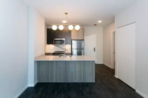 5252 S Cornell Ave, Chicago, IL 60615 photo 9