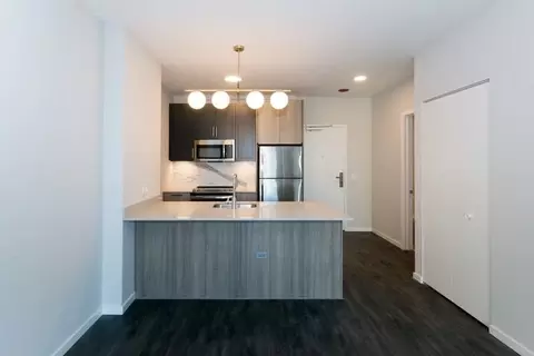 5252 S Cornell Ave, Chicago, IL 60615 photo 2