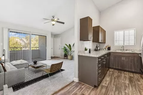 13021 S 48th St, Phoenix, AZ 85044 photo 9