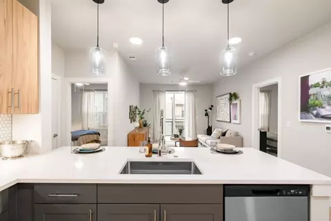 1909 Alexander Ave, Austin, TX 78722 photo 15