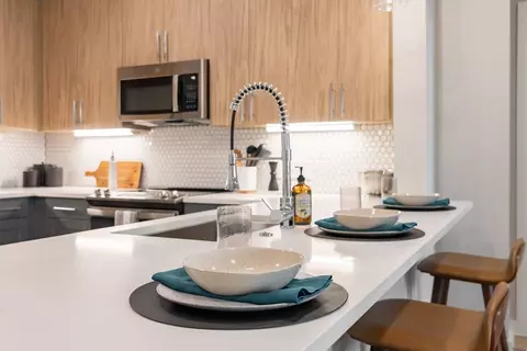 1909 Alexander Ave, Austin, TX 78722 photo 13