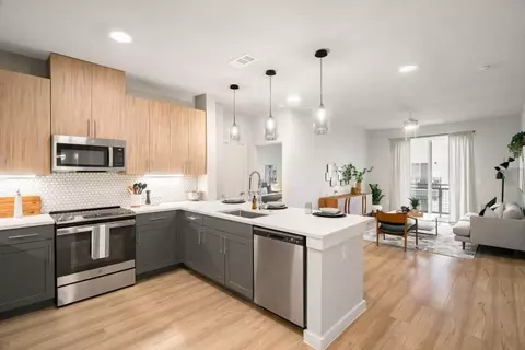 1909 Alexander Ave, Austin, TX 78722 photo 14