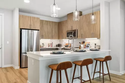 1909 Alexander Ave, Austin, TX 78722 photo 35