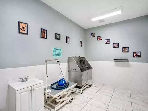 3201 3rd Ave N, Saint Petersburg, FL 33713 photo 35