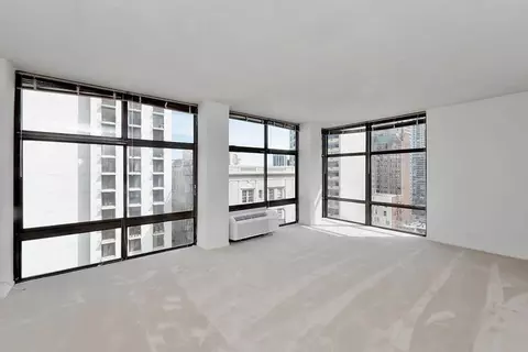 65 E Scott St, Chicago, IL 60610 photo 38