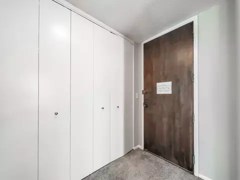 65 E Scott St, Chicago, IL 60610 photo 25