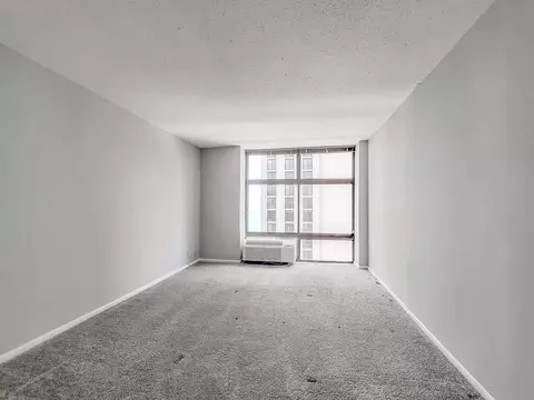 65 E Scott St, Chicago, IL 60610 photo 32