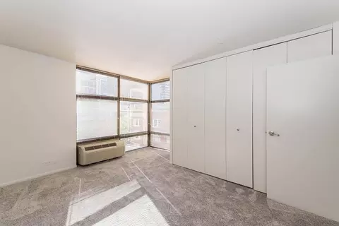 65 E Scott St, Chicago, IL 60610 photo 23