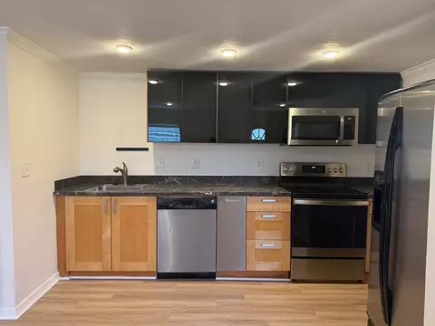 3318 W Walnut St, Tampa, FL 33607 photo 5