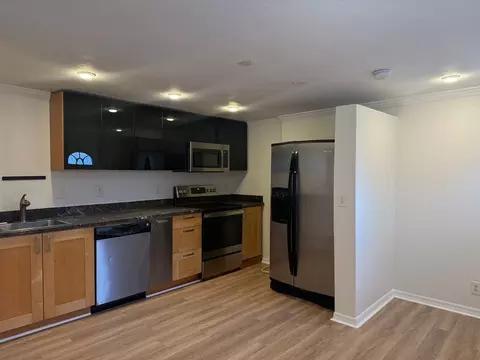 3318 W Walnut St, Tampa, FL 33607 photo 4
