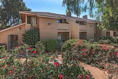 1006 Del Dios Rd, Escondido, CA 92029 photo 21