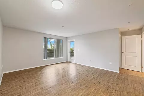 2922 Western Ave, Seattle, WA 98121 photo 29