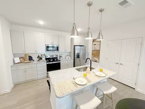 100 Southern Vine St, Moncks Corner, SC 29461 photo 12