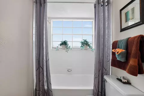 419 N Briggs Ave, Sarasota, FL 34237 photo 48