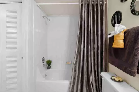419 N Briggs Ave, Sarasota, FL 34237 photo 53
