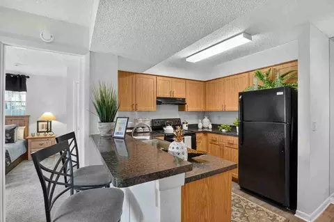 419 N Briggs Ave, Sarasota, FL 34237 photo 39